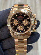 Rolex Daytona 116505